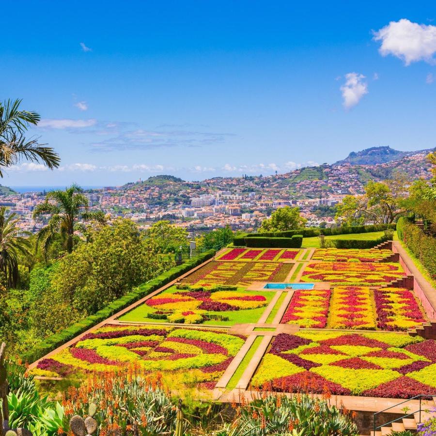 Funchal Boa Nova Apartment Dış mekan fotoğraf